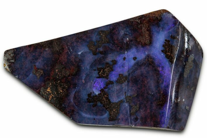 Electric Blue Boulder Opal Specimen - Queensland, Australia #351861